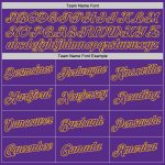 Custom Name Number Sports Hoodie White Purple Gold Stitched Pullover Sweatshirt Fashion Personalized Stitched White Purple-Gold