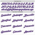 Custom Team Hoodie with Name and Number - Personalized Stitched White Purple-Gray Sports Pullover Sweatshirt Personalized