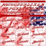 Custom Name Number American Flag 3D Hoodie Sweatshirt for Sports Team - Personalized Red-Royal Pullover Personalized Stitched
