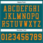 Custom Name and Number Personalized Teal Bay Orange Football Jersey - Authentic Mesh Team Apparel Personalized Teal Bay Orange