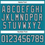 Custom Personalized Hockey Jersey with Name & Number in Teal Gray-Black Personalized Teal Gray-Black Hockey Lace Neck Jersey
