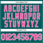 Custom Team Performance T-Shirt with Personalized Name and Number - Teal Pink-White Personalized Teal Pink-White Performance