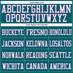 Custom Team Football Jersey with Personalized Name and Number - Teal Purple White Mesh Personalized Teal Purple-White Mesh