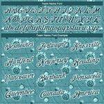 Custom Tropical Palm Leaf and Flower Performance T-Shirt with Personalized Teal White 3D Pattern, Team Name and Number Personalized