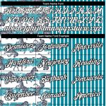 Custom Animal Zebra Performance T-Shirt with 3D Teal White-Black Design | Personalized Team Name and Number Personalized