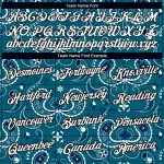 Custom Team Performance T-Shirt with Personalized Name & Number, Teal White Black 3D Floral Design Personalized Teal White-Black