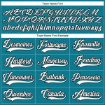 Custom Name and Number Teal White-Black Hockey Lace Neck Jersey - Personalized Team Apparel Personalized Teal White-Black