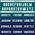 Custom Name Number Soccer Jersey Long Sleeve Teal White Navy Fade Fashion Team Uniform Personalized Teal White-Navy Sublimation