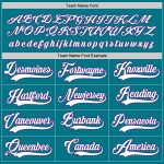Custom Personalized Hockey Jersey in Teal, White, and Purple Colors Personalized Teal White-Purple Hockey Jersey