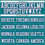 Personalized Authentic Football Jersey - Teal White Purple Mesh Design Personalized Teal White-Purple Mesh Authentic Football