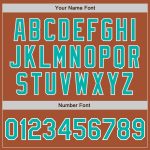 Custom Team Name Number Texas Orange White Bomber Jacket Varsity Letterman Aqua Two Tone Full-Snap Personalized Texas Orange