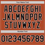 Custom Name and Number Personalized Texas Orange Black-White Line Baseball Jersey Authentic Team Apparel Personalized Texas