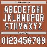 Custom Name Number Texas Bomber Jacket Orange White Black Gray Two Tone Varsity Full-Snap Letterman Personalized Texas Orange
