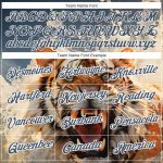 Custom US Navy 3D Tiger Performance T-Shirt for Team with Personalized Name & Number Personalized US Navy Blue White 3D Pattern
