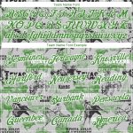 Custom Cowboy Rodeo Performance T-Shirt with Personalized Name and Number - White Aurora Green 3D Pattern Design Personalized