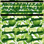 Personalized Custom Name & Number T-Shirt for Summer Holiday, 3D Green-Black Fruit Pattern Design, Team Apparel Personalized