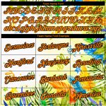 Custom Name and Number Performance T-Shirt with Personalized Hawaii Palm Leaves and 3D Pattern in White, Bay, and Orange