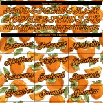 Custom Name and Number 3D Pattern T-Shirt for Summer, Personalized White Bay Orange-Black Design, Perfect for Holidays Personalized