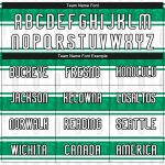 Custom Name and Number Volleyball Uniform Jersey - Personalized Abstract Shape in White, Black, and Kelly Green Personalized