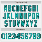 Custom Team Name Number Aqua Bomber Varsity Jacket White Black Pinstripe Full-Snap Letterman Jacket Personalized White Black
