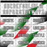 Customizable Palestine Volleyball Jersey with Name and Number - Personalized Geometric Design in White, Black, Red, Green