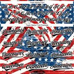 Custom American Flag Baseball Jersey Personalized Team Name Number 3D Patriotic Design in White Black Royal Red Personalized