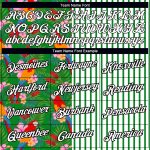 Custom Name and Number Tropical Hawaii Leaves Parrot Performance T-Shirt - Personalized 3D Green-Black Design Personalized