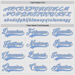 Custom Name Number Hockey Jersey Personalized White Gray Light Blue Personalized White Gray-Light Blue Hockey Jersey Team