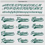 Custom Name and Number Personalized Hockey Jersey in White and Green Personalized White Green Hockey Jersey Team Custom Name
