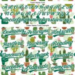 Custom Name Number Personalized Cactus Festival Baseball Jersey 3D Pattern Design in White Kelly Green Personalized White