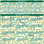 Custom Dollar Sign Money Theme T-Shirt with 3D Pattern, Personalized Team Name & Number - Kelly Green & White Personalized