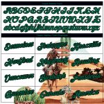 Custom Name and Number 3D Pattern Cowboy Rodeo Performance T-Shirt - Personalized White Kelly Green-Black Design Personalized