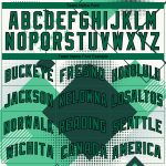 Custom Name 3D Geometric Basketball Jersey City Edition - Personalized White Kelly Green Black Design Personalized White