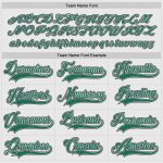 Custom Hockey Jersey with Personalized Name and Number in White, Kelly Green and Black Personalized White Kelly Green-Black