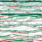 Custom 3D Mexican Flag Basketball Jersey with Personalized Name & Number - White Kelly Green-Red Personalized White Kelly
