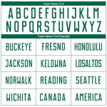 Custom Name Number Personalized Soccer Jersey Sublimation Uniform White Kelly Green Personalized White Kelly Green Sublimation
