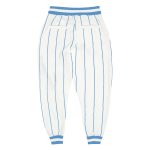 Customizable Light Blue White Pinstripe Sports Pants with Team Name and Number - Personalized Athletic Apparel Personalized