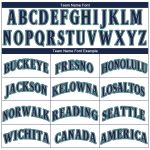Custom Team Name and Number Performance T-Shirt - Personalized White Navy-Aqua Design Personalized White Navy-Aqua Performance