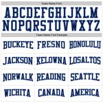 Custom Personalized Team Long Sleeve Performance T-Shirt with Name and Number in White Navy-Light Blue Personalized White
