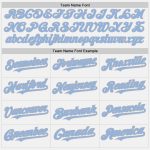 Custom Name and Number Unisex Softball Jersey - Personalized White Navy Pinstripe Light Blue Gray Two-Button Design Personalized