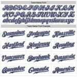 Custom Name and Number Personalized Navy-White Pinstripe Sports Pants for Team Use Personalized White Navy Pinstripe Navy-White