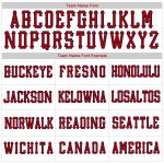 Custom Name Number Authentic American Flag Softball Jersey Personalized White Navy Pinstripe Red-Navy Team Apparel Personalized