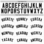 Custom Name and Number Personalized Black-Grey White Purple Pinstripe Authentic Baseball Jersey Personalized White Purple