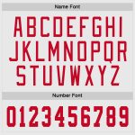 Custom Name and Number Personalized Hockey Jersey in White Red-Gray Design Personalized White Red-Gray Hockey Jersey Team