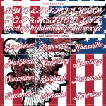 Custom American Flag Eagle Performance T-Shirt with Personalized Name and Number - Red and White 3D Team Gear Personalized