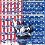 Custom 3D American Flag Eagle Baseball Jersey with Personalized Name and Number - White Red-Royal Team Gear Personalized