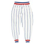 Custom Team Name Number Sports Pants Red White Royal Pinstripe Personalized Personalized White Royal Pinstripe Royal-Red