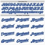 Custom Team Name and Number Sports Pants - Personalized White Royal Pinstripe Athletic Wear Personalized White Royal Pinstripe