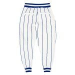 Custom Team Name and Number Sports Pants - Personalized White Royal Pinstripe Athletic Wear Personalized White Royal Pinstripe