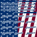 Custom US Navy 3D Pattern Design Performance T-Shirt with Personalized Name and Number in Blue-Maroon Personalized White